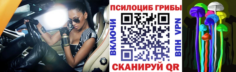 кракен сайт  Дрезна  Галлюциногенные грибы мухоморы 