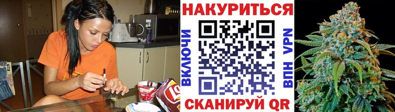 Бошки марихуана сатива  магазин  наркотиков  Дрезна 